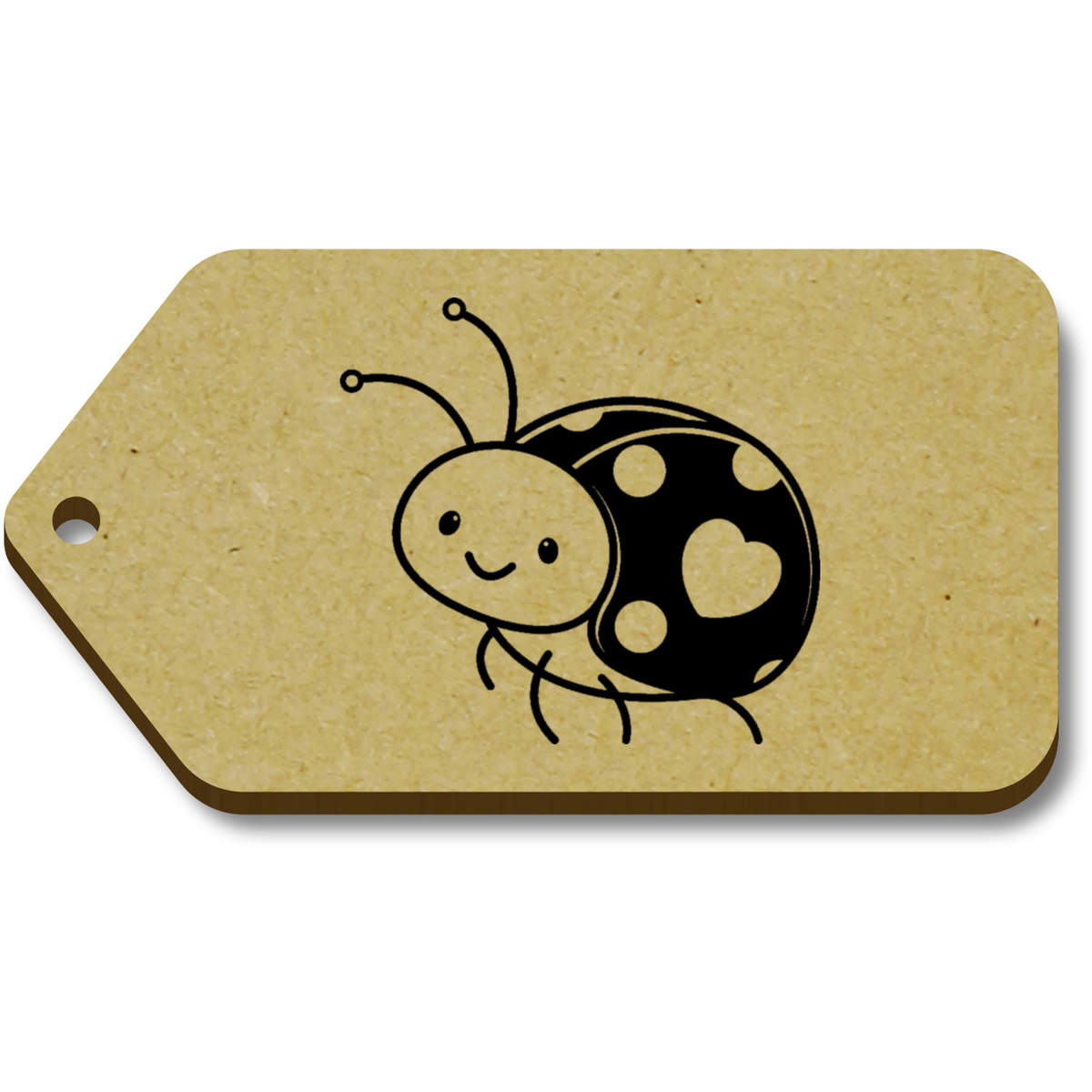 'Love Ladybird' Gift / Luggage Tags (TG038986)