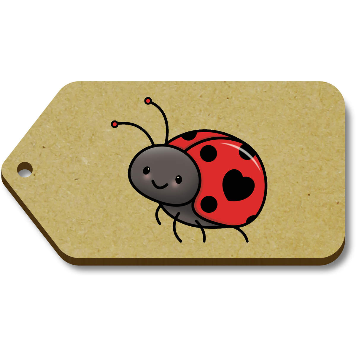 'Love Ladybird' Gift / Luggage Tags (TG038987)