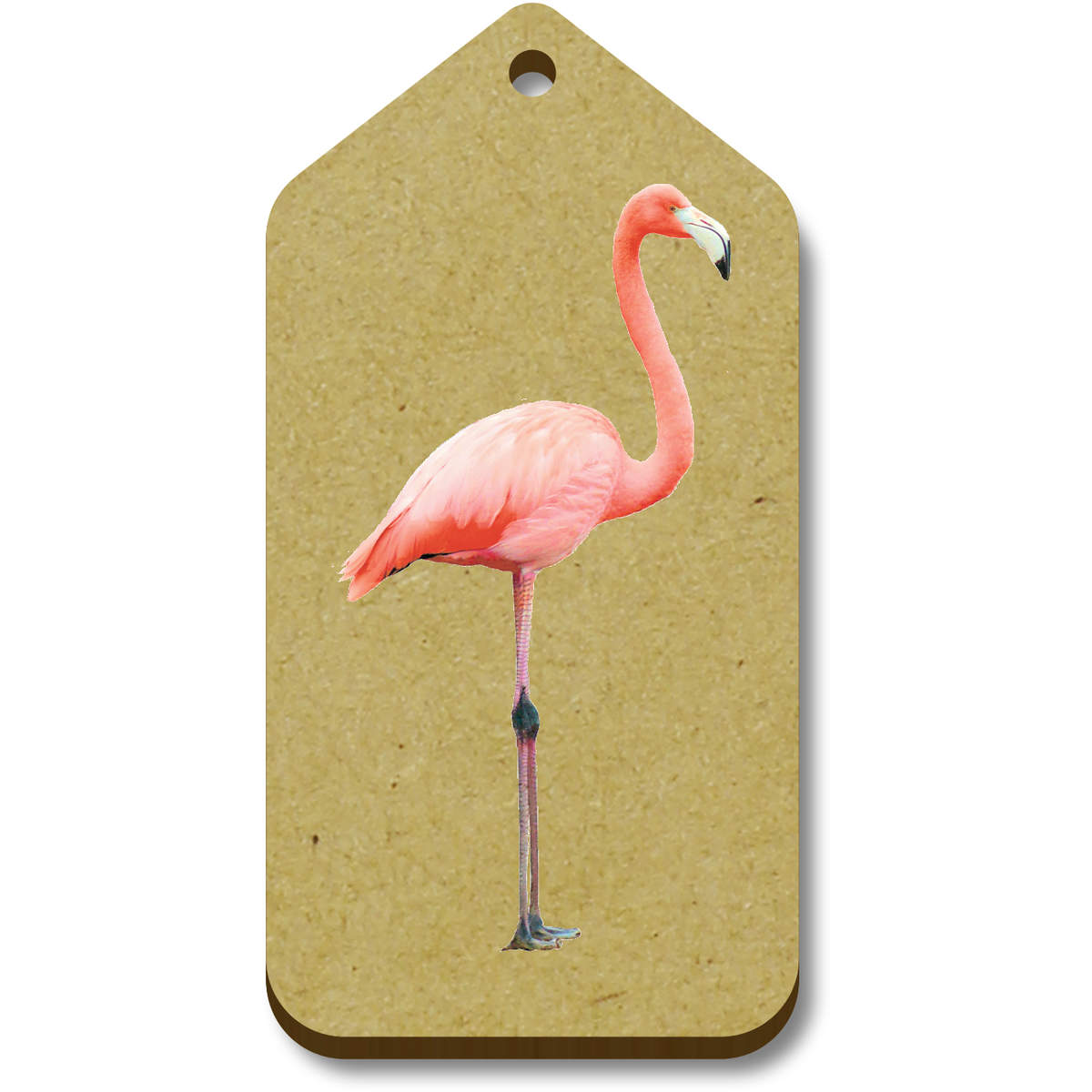 'Flamingo' Gift / Luggage Tags (TG041746)