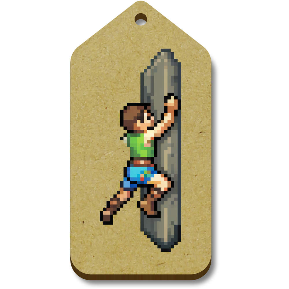 'Rock Climbing Pixel Art' Gift / Luggage Tags (TG044374)