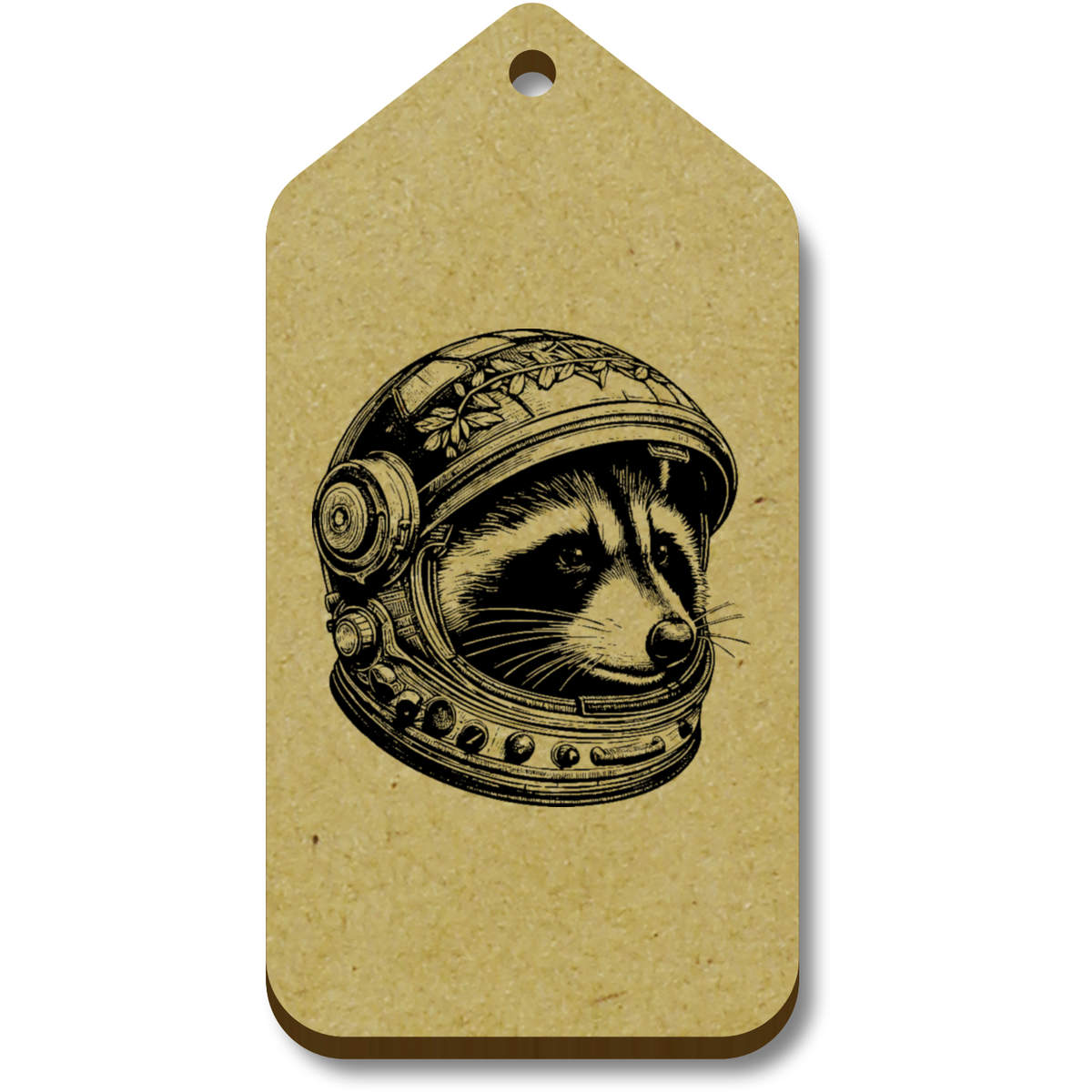 'Raccoon Astronaut' Gift / Luggage Tags (TG045379)