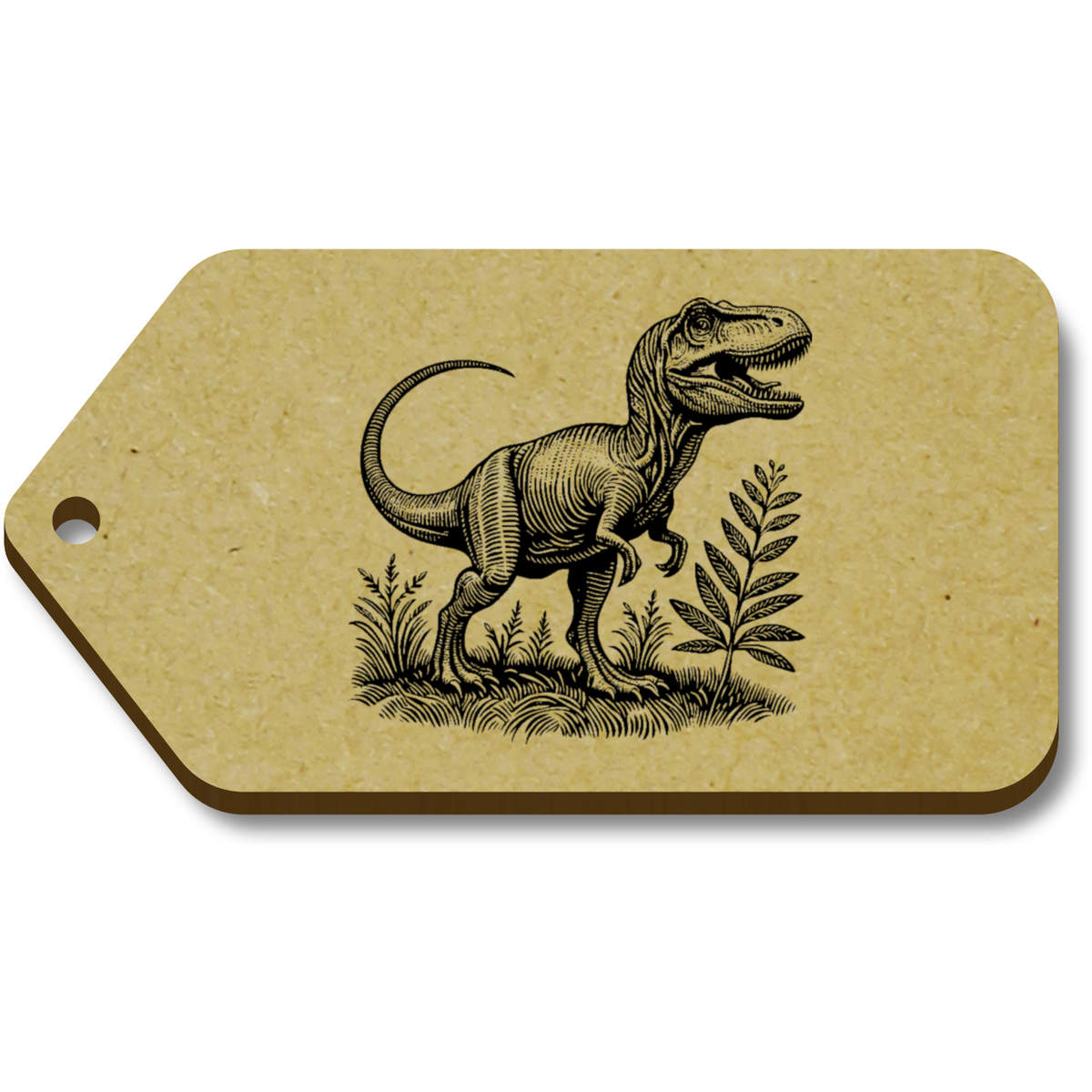 'T Rex Dinosaur' Gift / Luggage Tags (TG045511)
