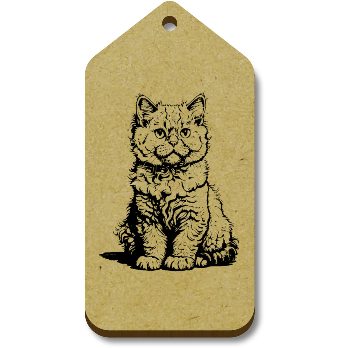 'Selkirk Rex Cat Sitting' Gift / Luggage Tags (TG046130)
