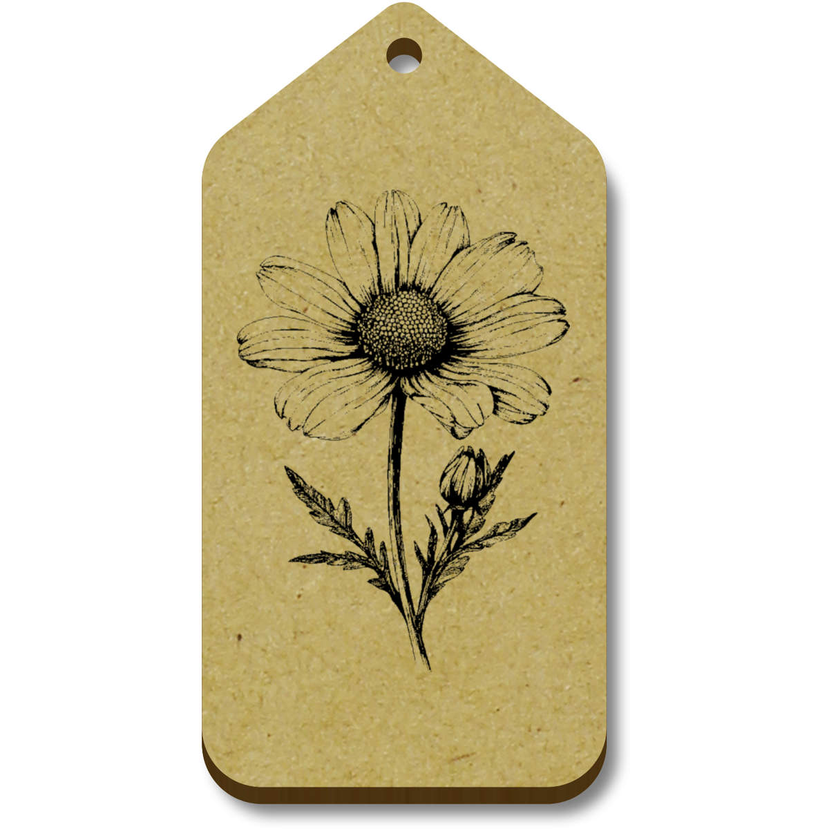 'African Daisy' Gift / Luggage Tags (TG051234)