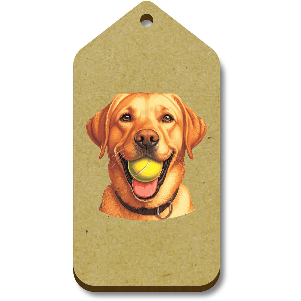 'Golden Labrador With Ball' Gift / Luggage Tags (TG051640)