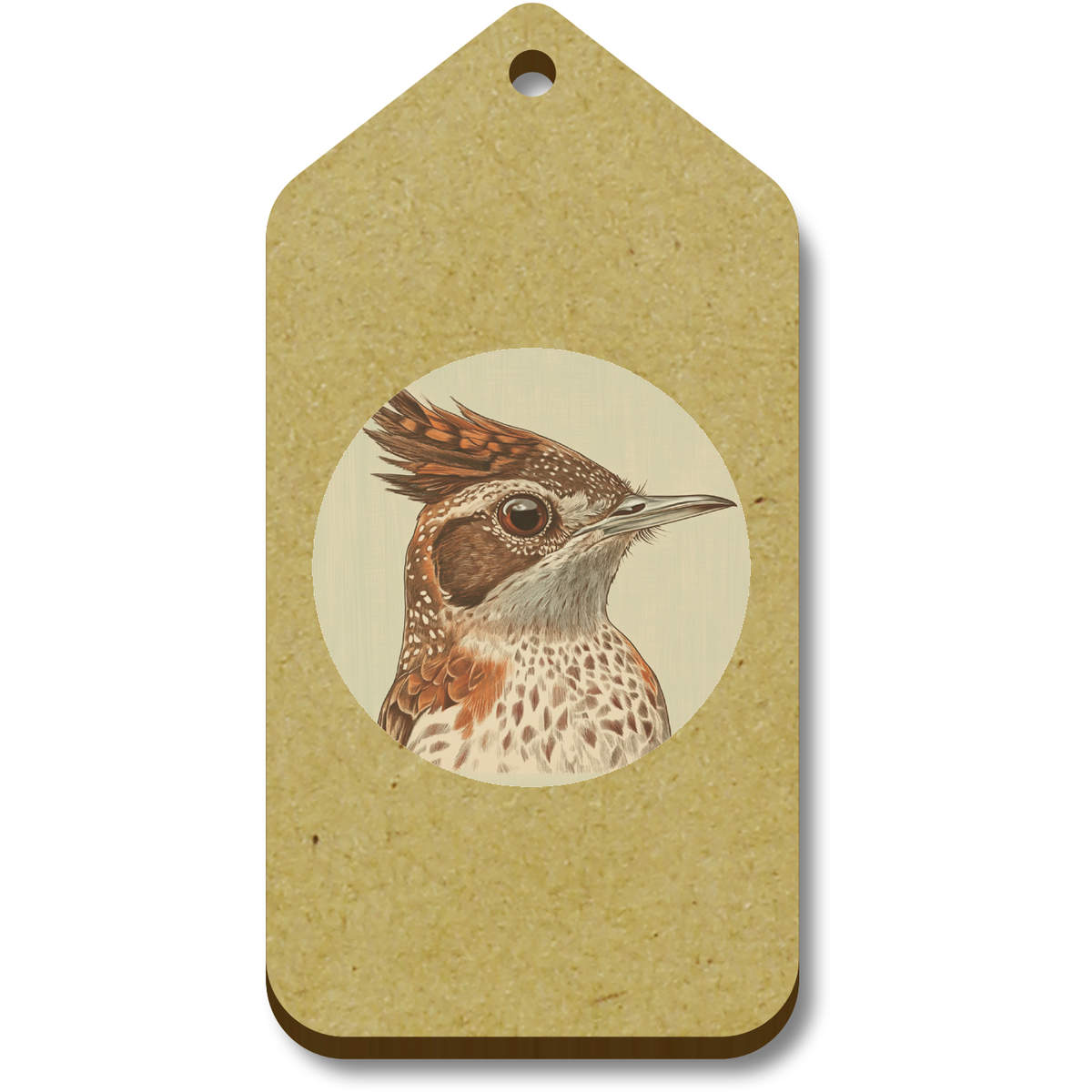 'Rufous Naped Lark' Gift / Luggage Tags (TG052101)