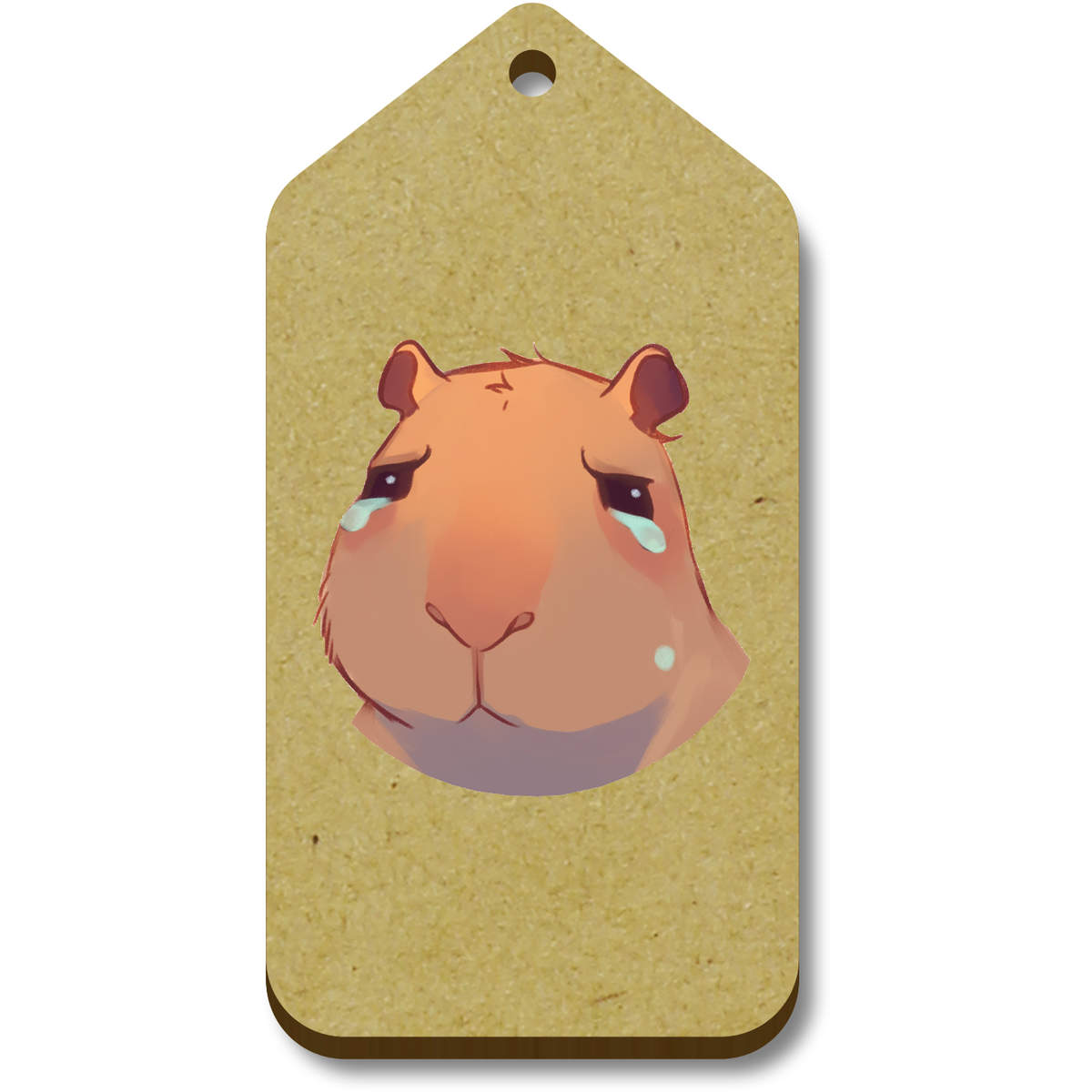 'Sad Capybara' Gift / Luggage Tags (TG053952)
