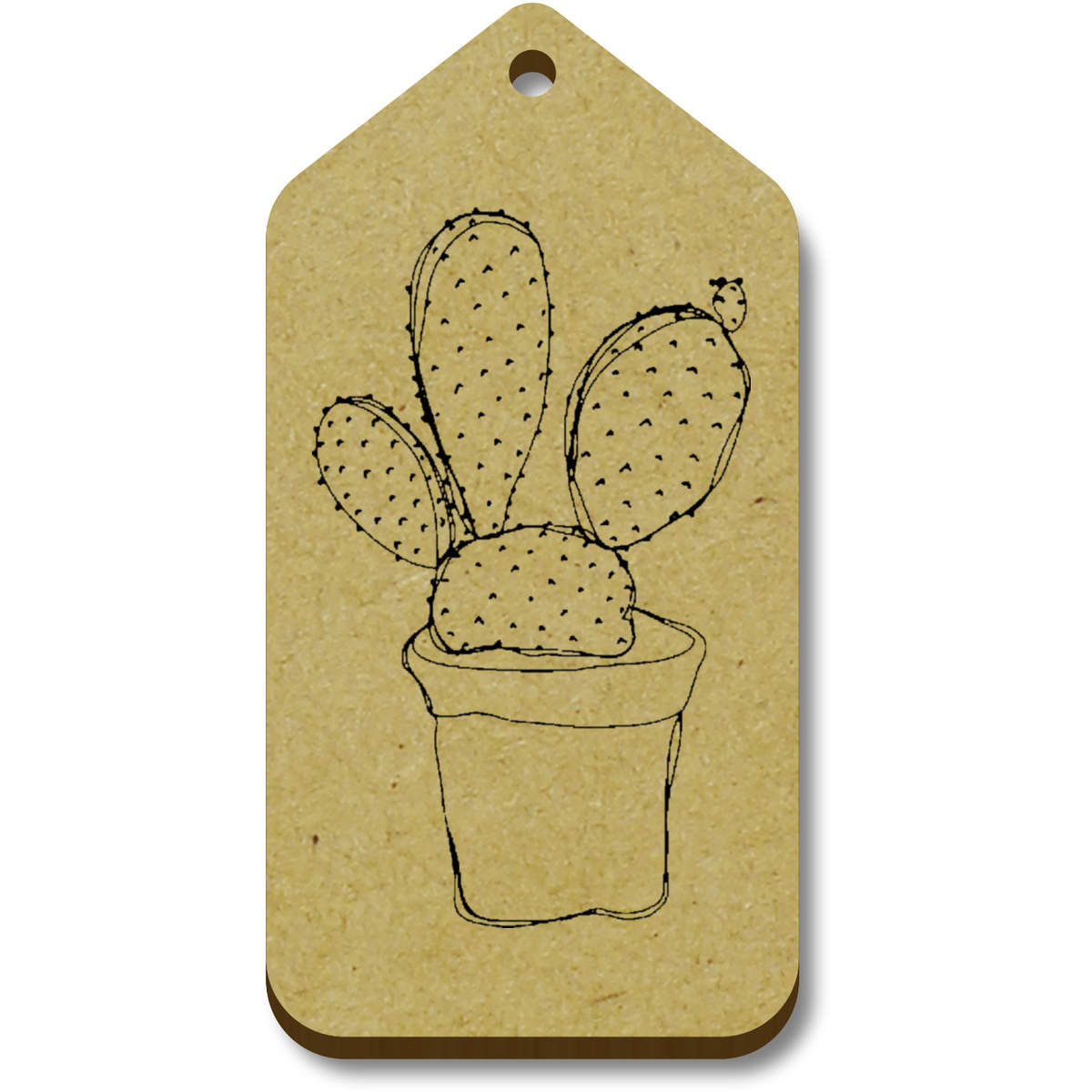 'Cactus' Gift / Luggage Tags (TG056818)