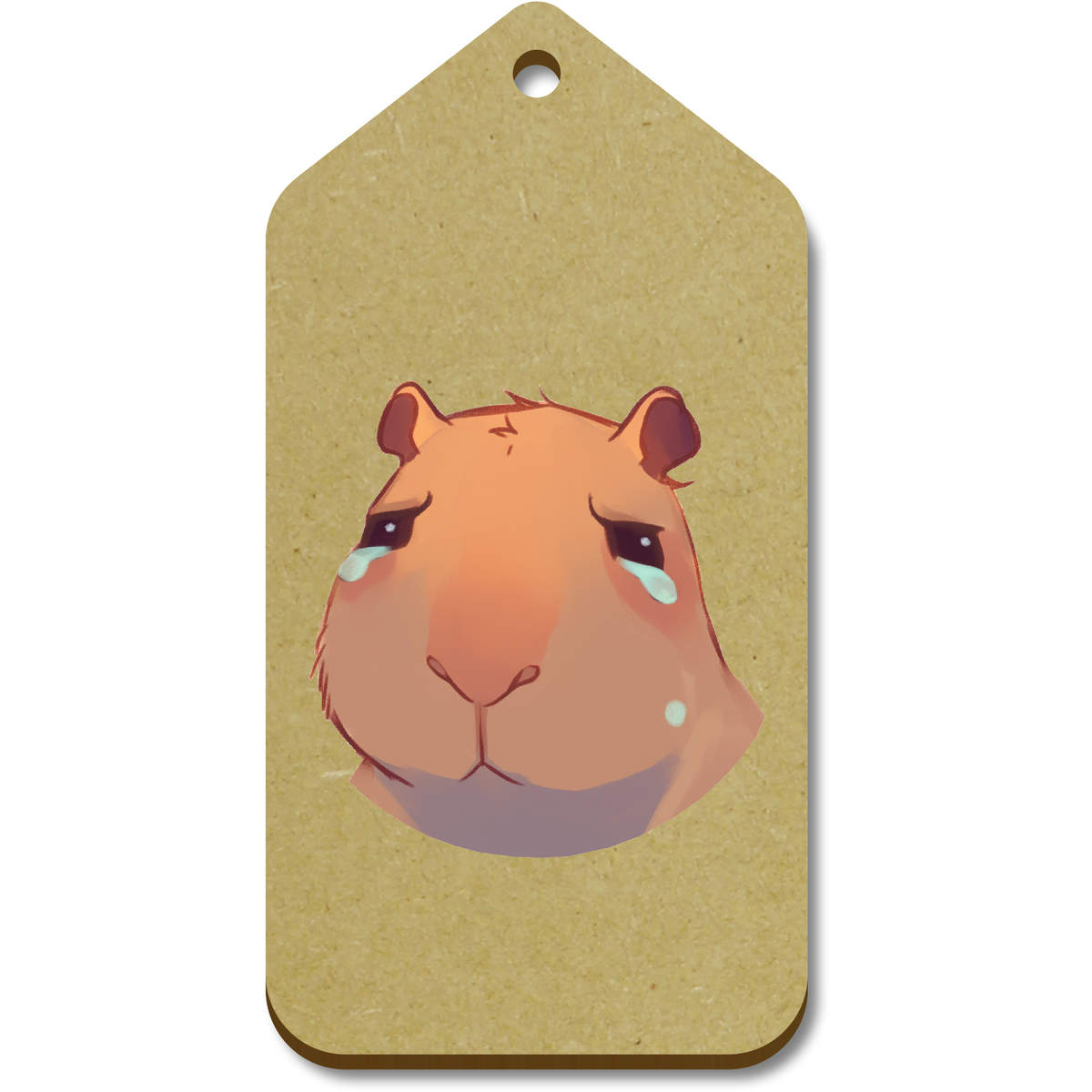 10 x Large 'Sad Capybara' Wooden Gift Tags (TG00141322)