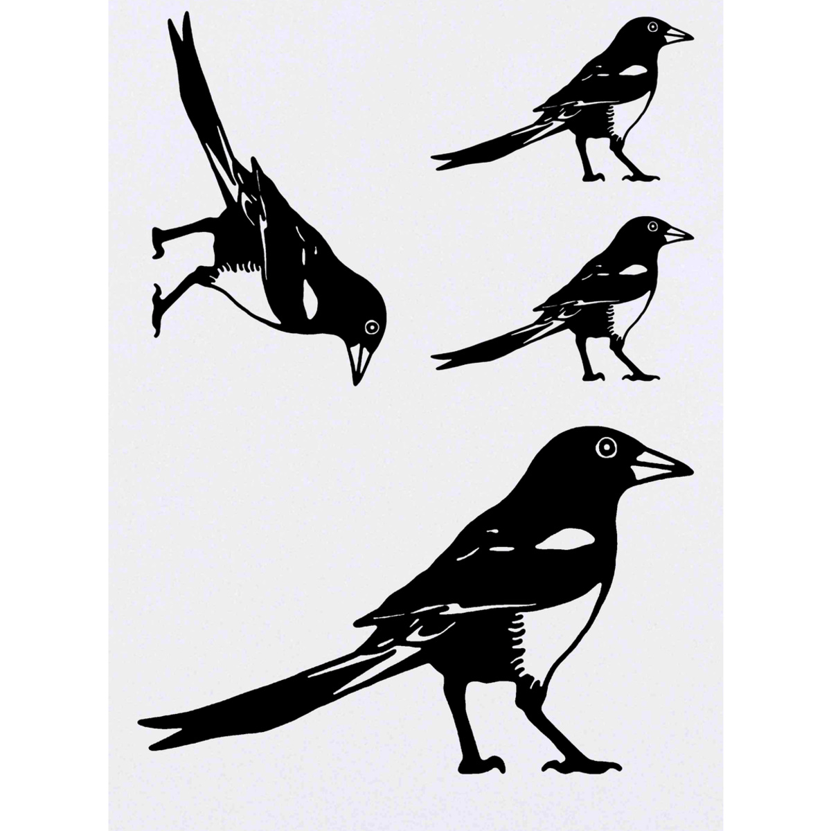 4 x 'Magpie' Temporary Tattoos -  Water Resistant, Skin-Safe, Non-Toxic Transfers, Mixed Sizes (TO00000037)