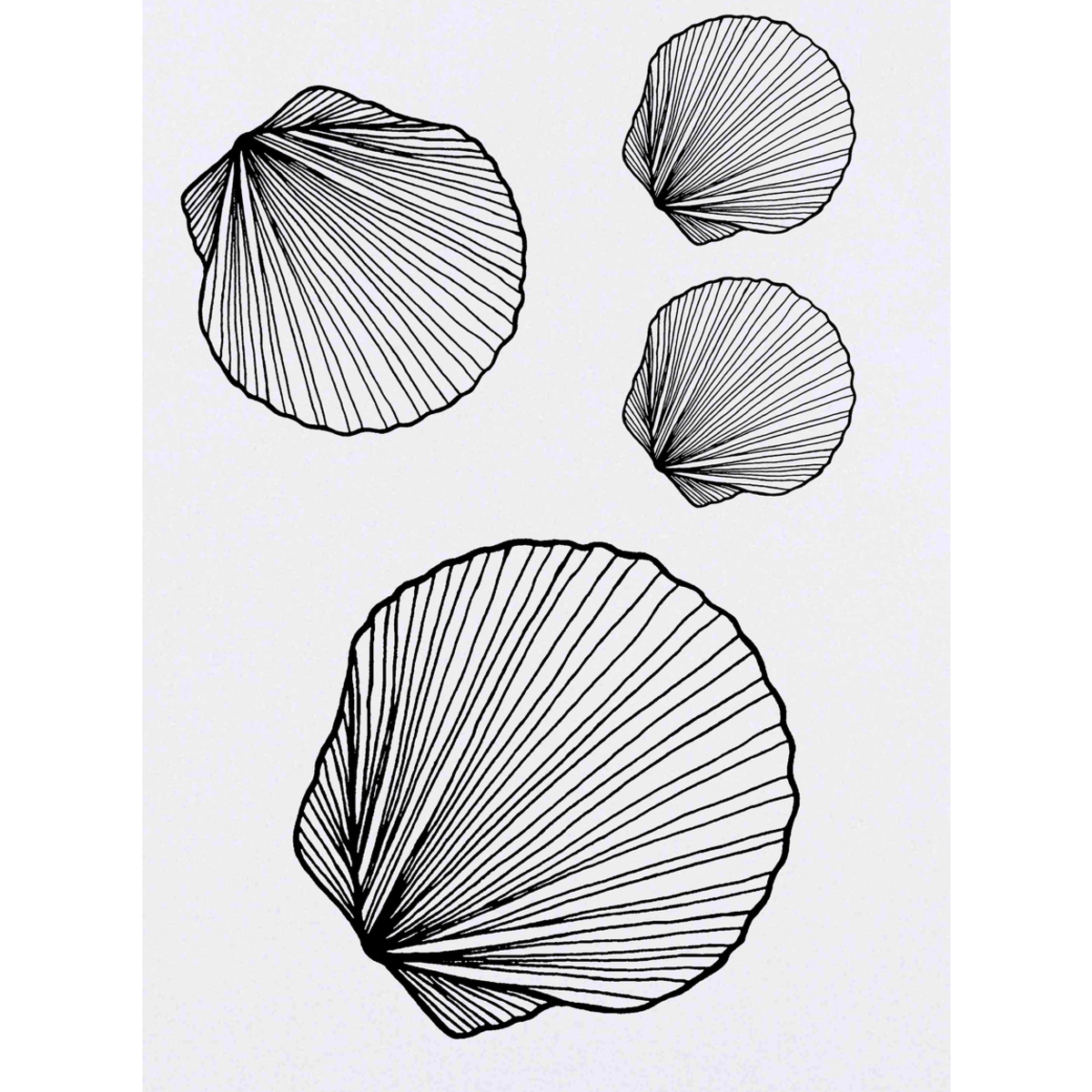 'Seashell' Temporary Tattoos -  Water Resistant, Skin-Safe, Non-Toxic Transfers (TO002109)