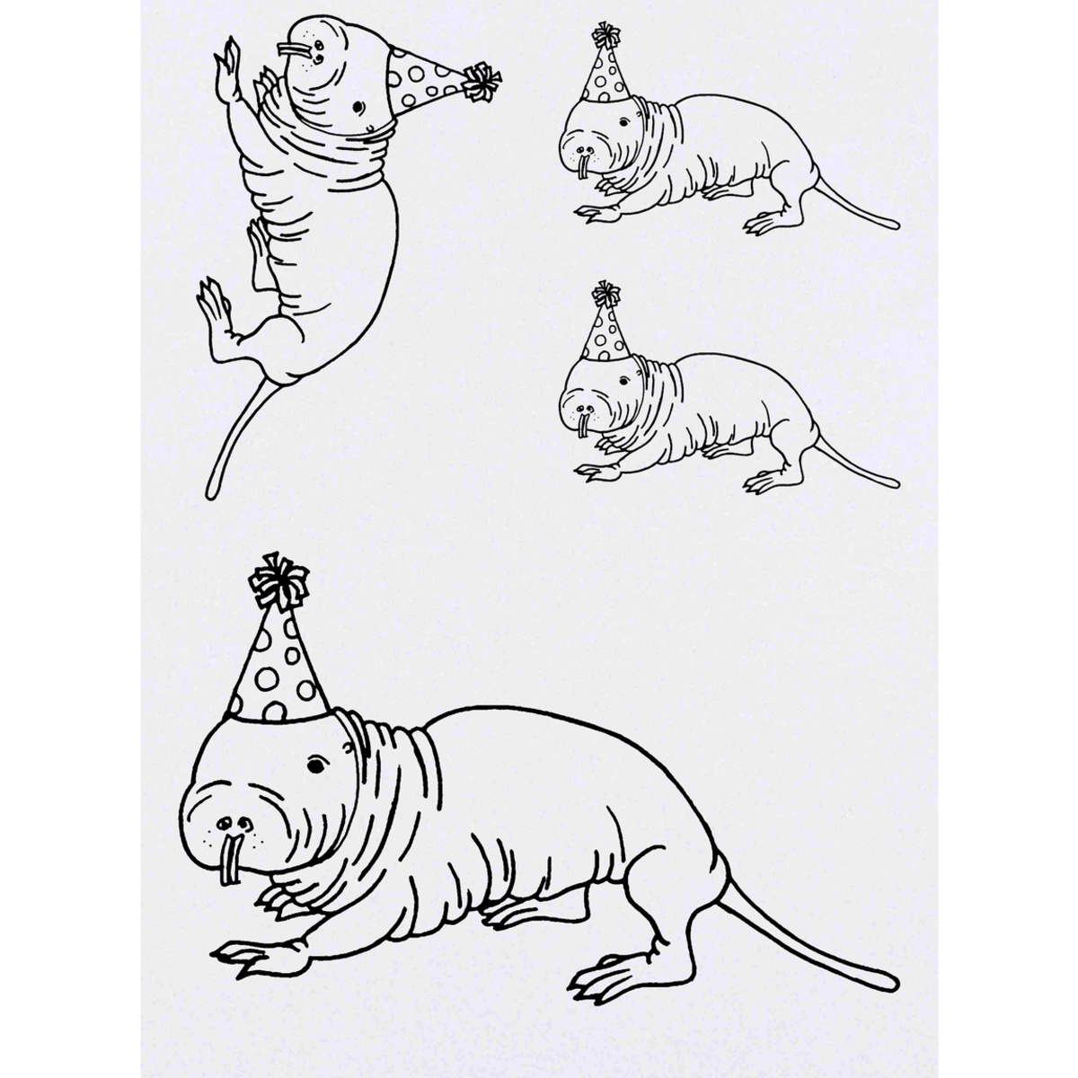 'Party Mole-rat' Temporary Tattoos -  Water Resistant, Skin-Safe, Non-Toxic Transfers (TO022275)