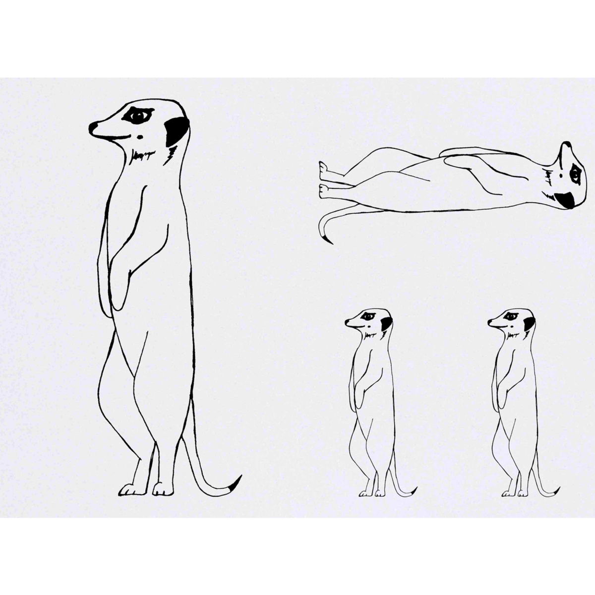 'Meerkat' Temporary Tattoos -  Water Resistant, Skin-Safe, Non-Toxic Transfers (TO002976)