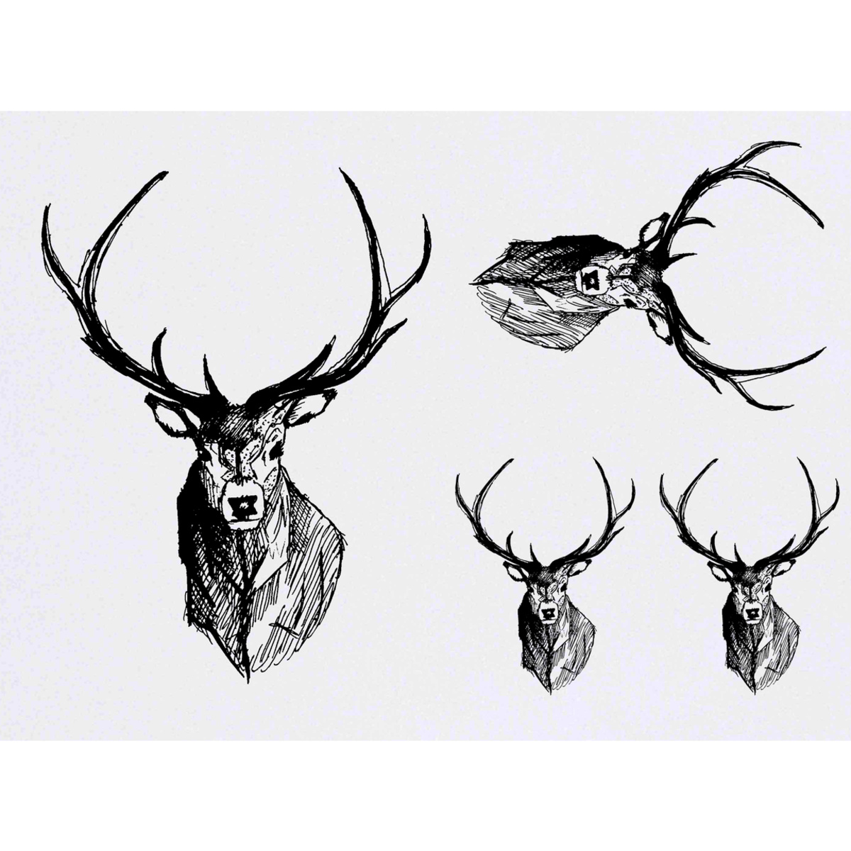 'Stag Head' Temporary Tattoo Transfers - Elegant Deer Antlers Wildlife Illustration - Water Resistant Skin Safe Designs for Parties, Costumes and Gifts (TO010005)