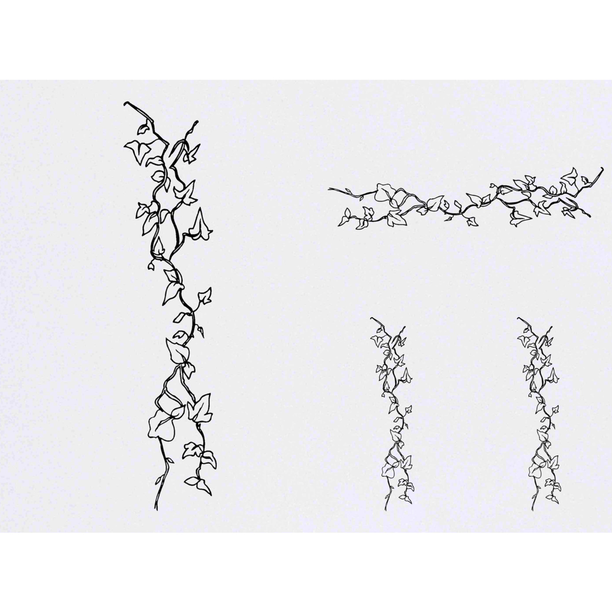'Ivy Vines' Temporary Tattoos -  Water Resistant, Skin-Safe, Non-Toxic Transfers (TO010200)