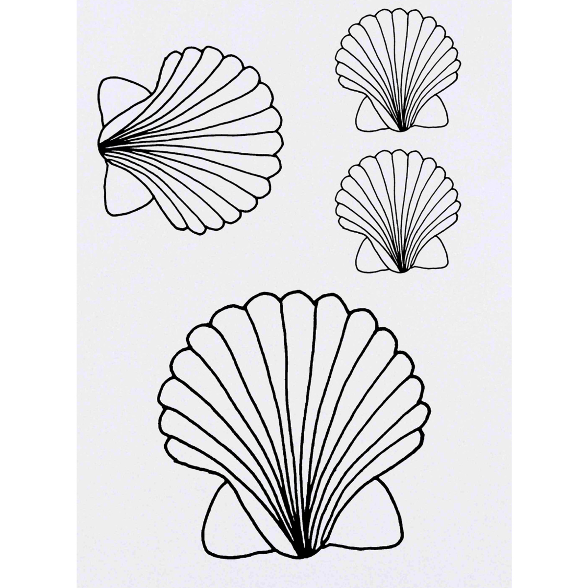 'Scallop Shell' Temporary Tattoos -  Water Resistant, Skin-Safe, Non-Toxic Transfers (TO011085)