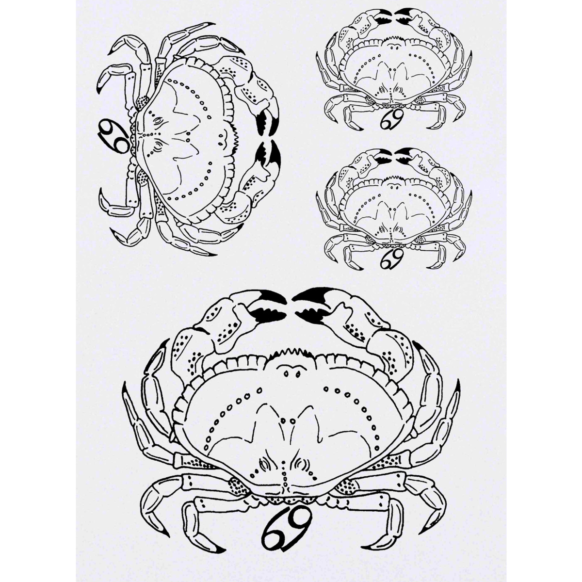 'Zodiac Cancer Crab' Temporary Tattoos -  Water Resistant, Skin-Safe, Non-Toxic Transfers (TO011983)