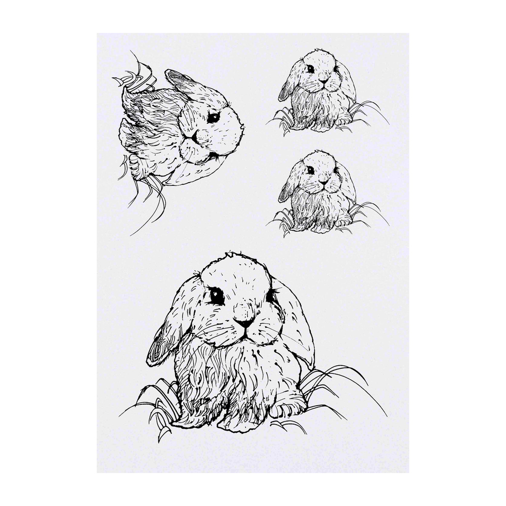 'Cute Bunny Rabbit' Temporary Tattoos - Water Resistant, Skin-Safe, Non-Toxic Transfers (TO013462)