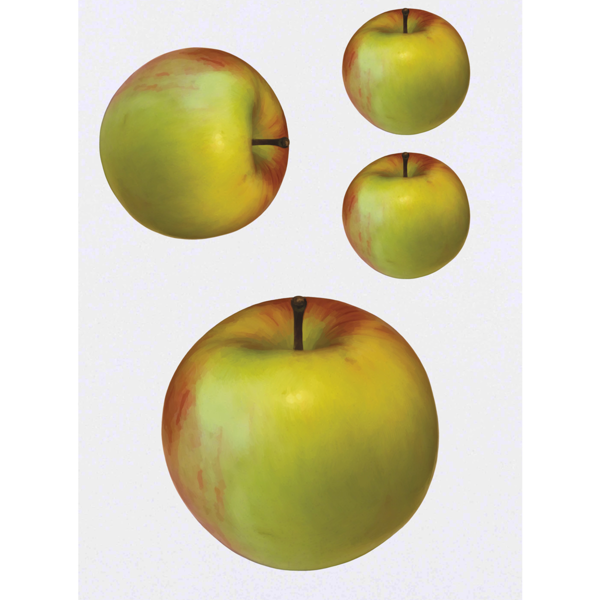 'Green Apple' Temporary Tattoos -  Water Resistant, Skin-Safe, Non-Toxic Transfers (TO022759)