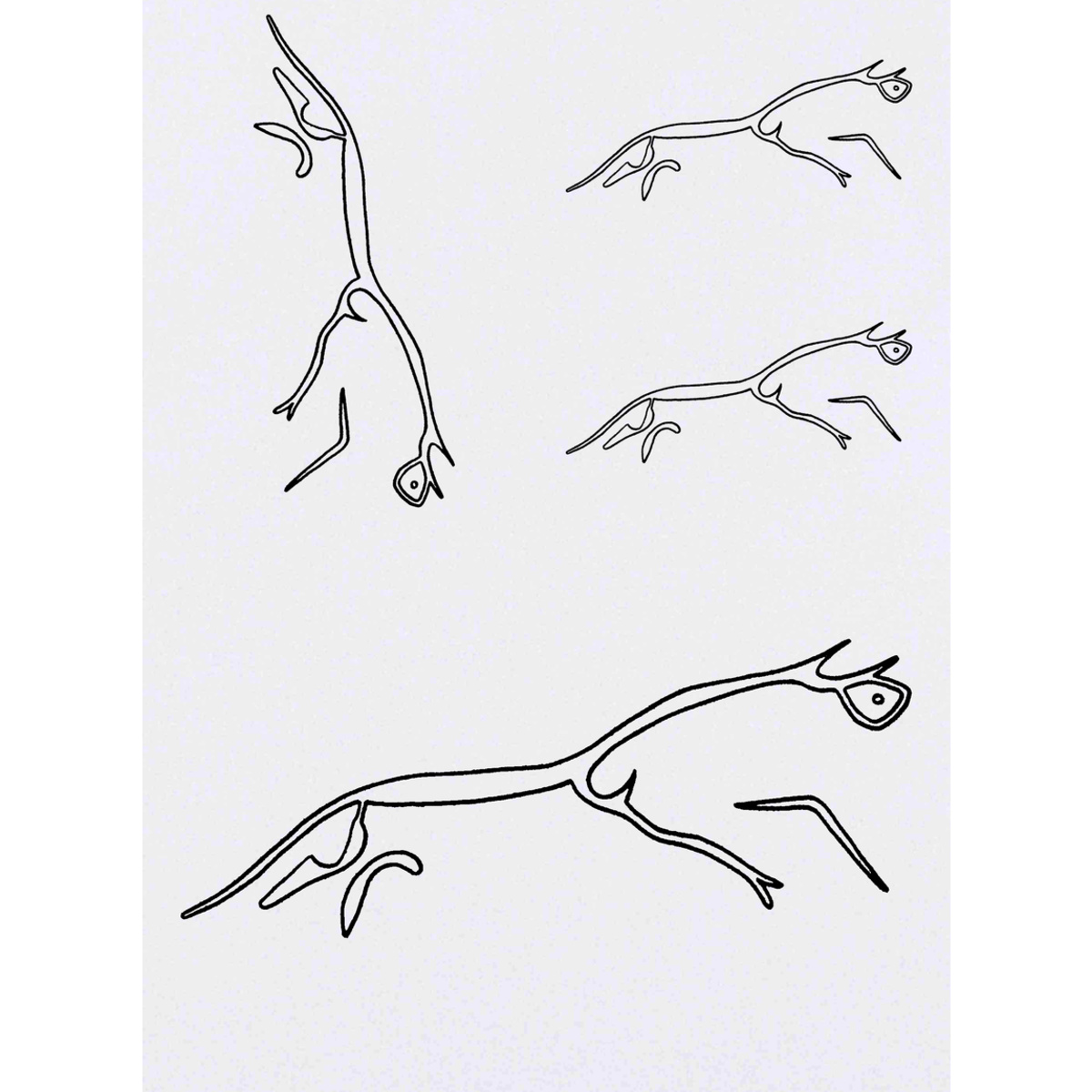 'Uffington White Horse' Temporary Tattoos -  Water Resistant, Skin-Safe, Non-Toxic Transfers (TO016678)