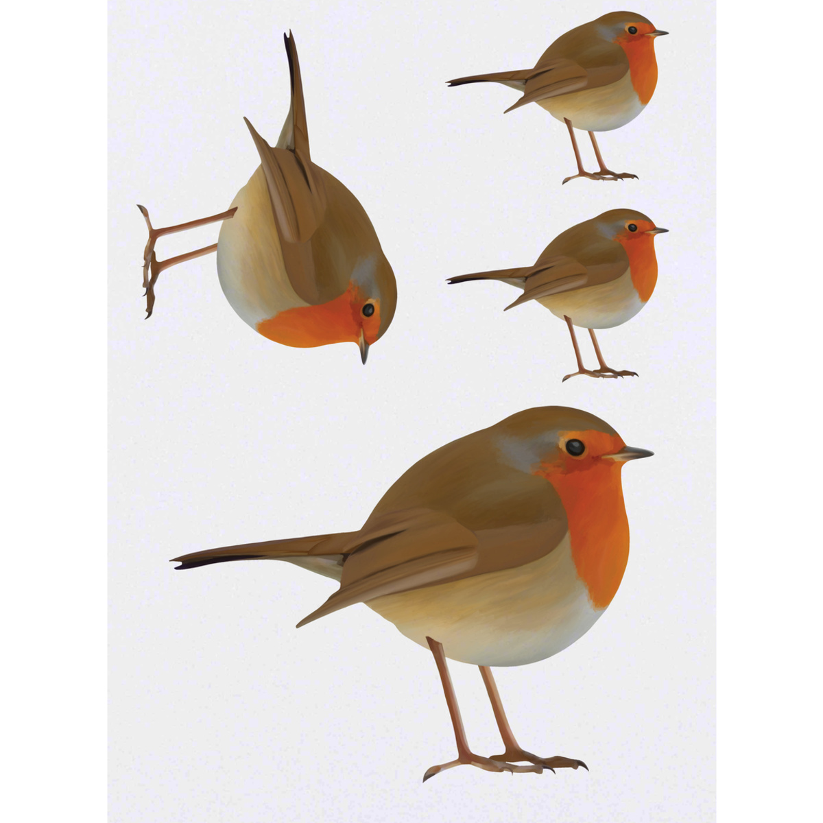4 x 'Robin' Temporary Tattoos - Mixed-Size - Redbreast Songbird Garden Wildlife Illustrati - Water Resistant Skin Safe Transfers for Parties, Costumes and Gifts (TO00014634)