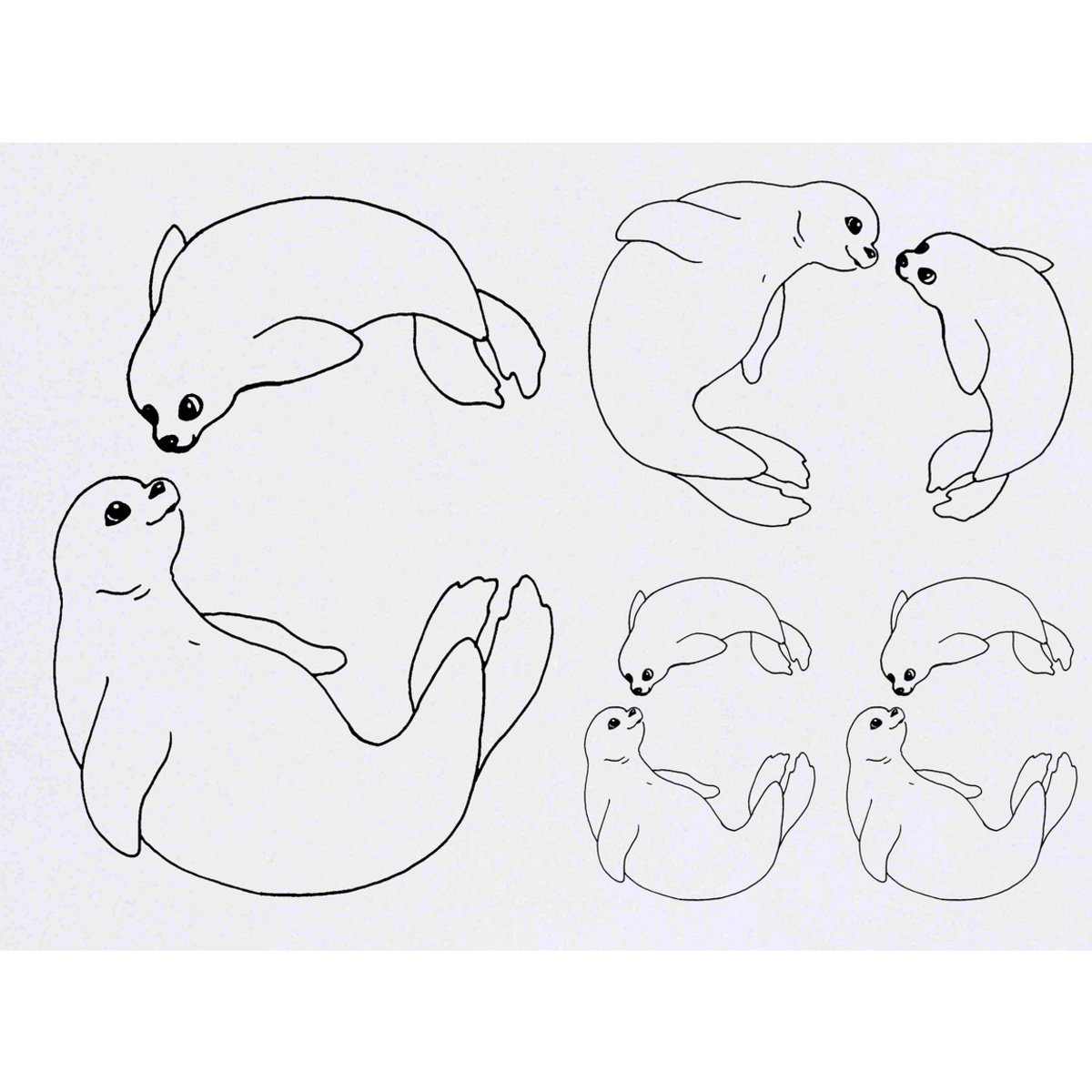 4 x 'Seal Duo' Temporary Tattoos -  Water Resistant, Skin-Safe, Non-Toxic Transfers, Mixed Sizes (TO00015322)