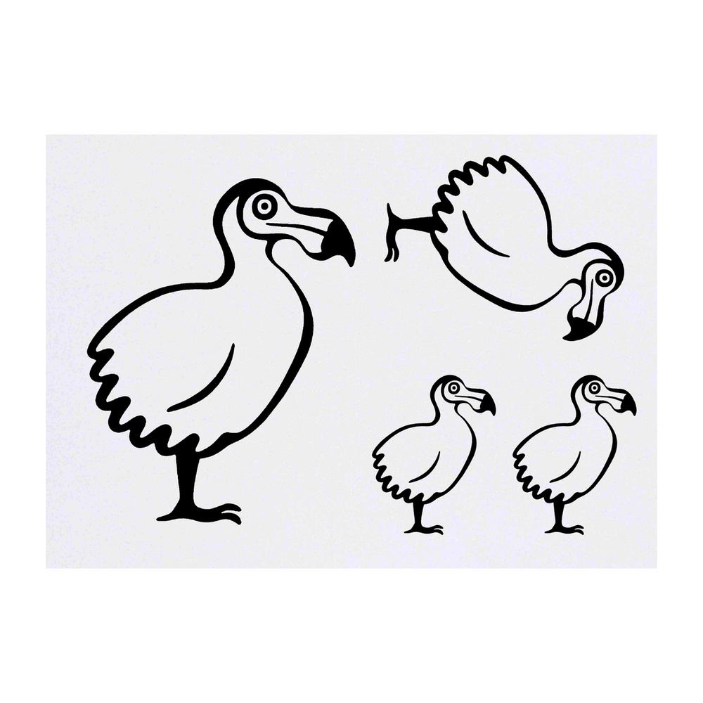 4 x 'Dodo Bird' Temporary Tattoos - Water Resistant, Skin-Safe, Non-Toxic Transfers, Mixed Sizes (TO00035031)