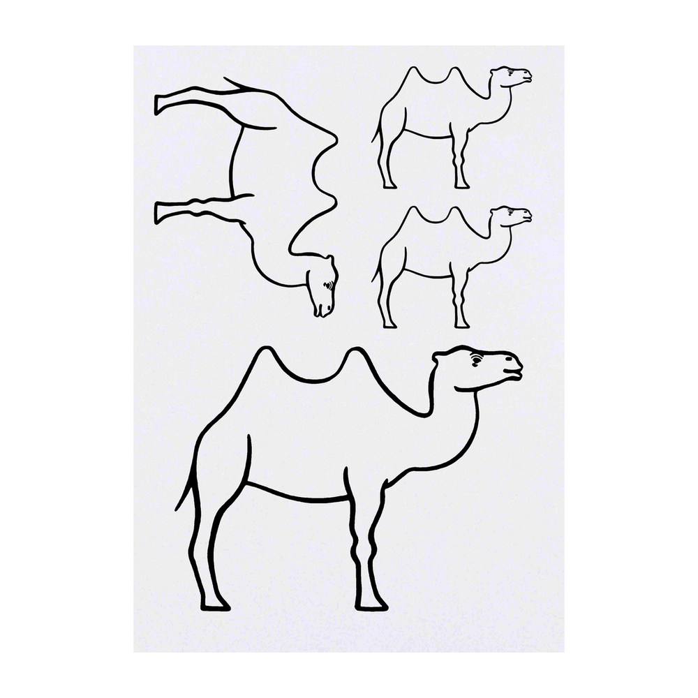 'Camel' Quantity Today's only limited temporary tattoos to026462