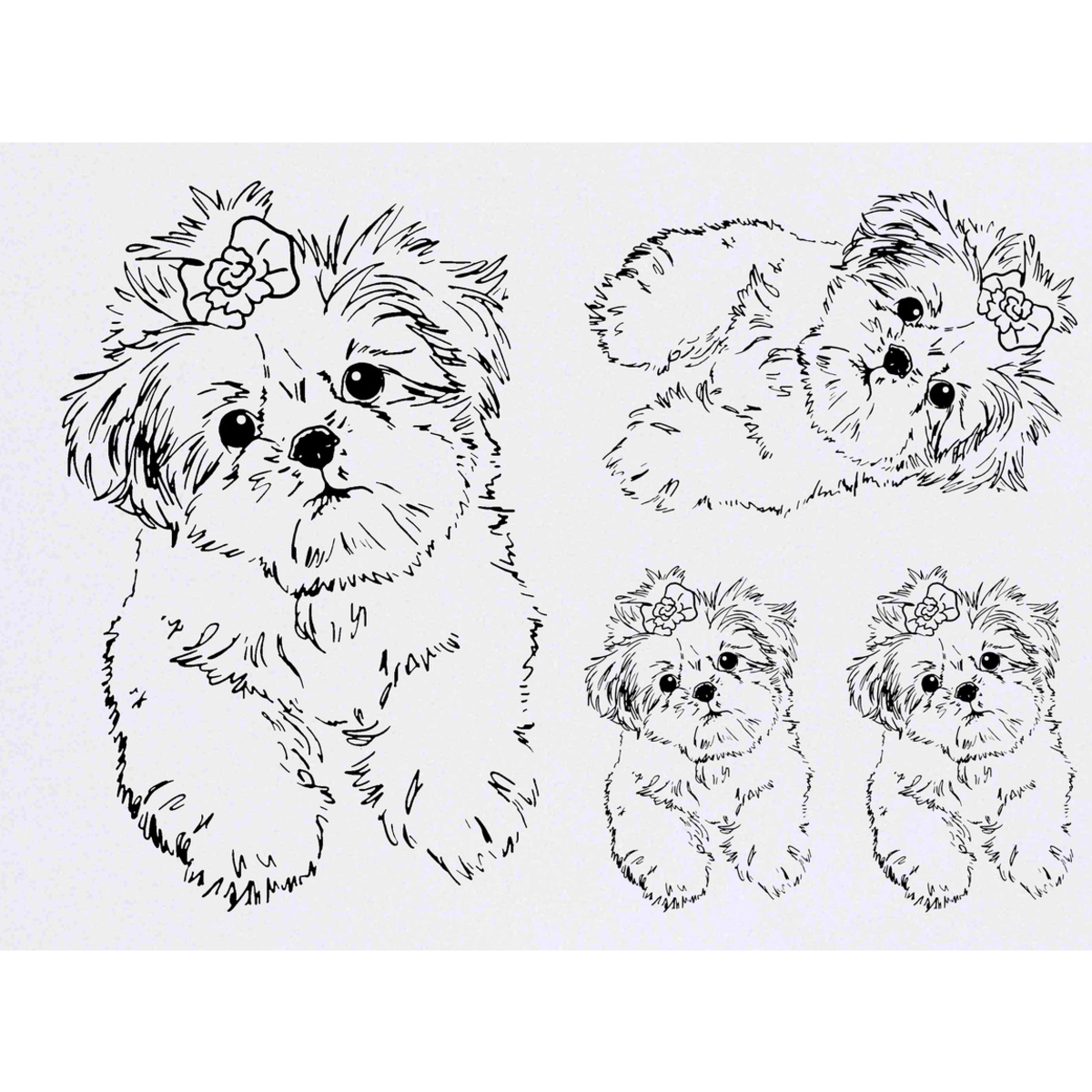 'Shih Tzu Puppy' Temporary Tattoos -  Water Resistant, Skin-Safe, Non-Toxic Transfers (TO026771)