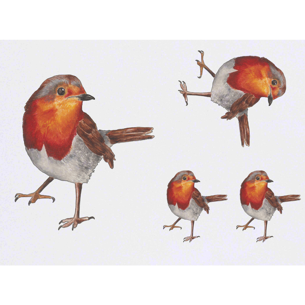 'Robin' Temporary Tattoos - Winter Garden Bird Red Breast Art - Water Resistant, Skin-Safe, Non-Toxic Transfers (TO027919)