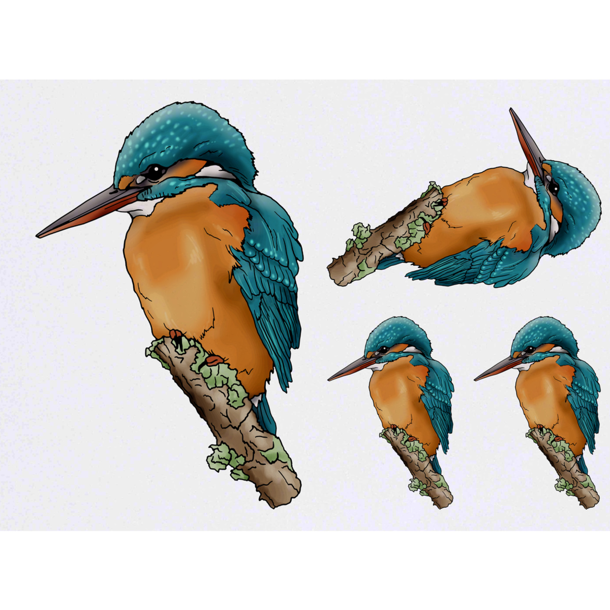 'Kingfisher' Temporary Tattoos -  Water Resistant, Skin-Safe, Non-Toxic Transfers (TO028659)