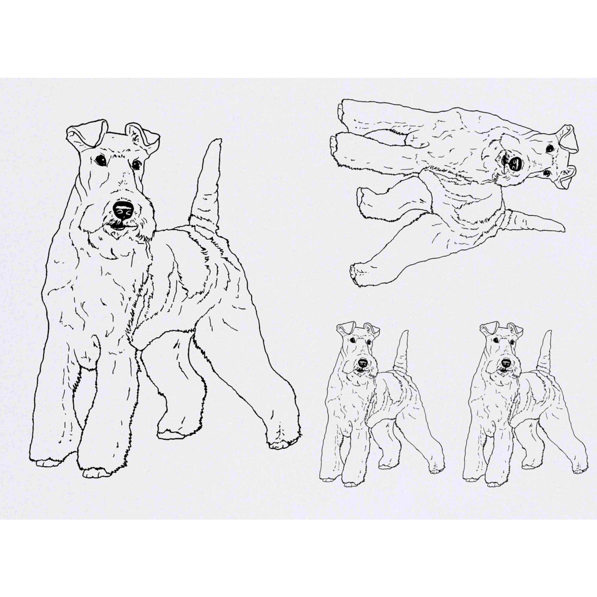 'Fox Terrier' Temporary Tattoos -  Water Resistant, Skin-Safe, Non-Toxic Transfers (TO028809)