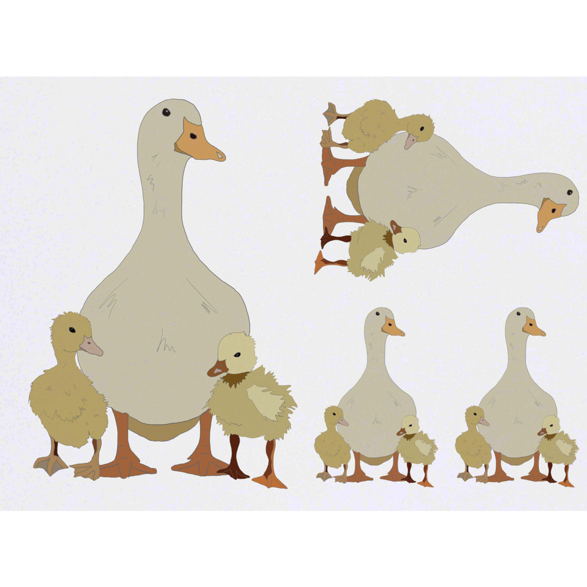 'Mother Duck' Temporary Tattoos -  Water Resistant, Skin-Safe, Non-Toxic Transfers (TO028840)