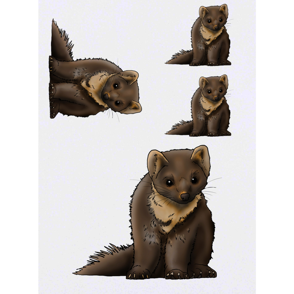 'Pine Marten' Temporary Tattoos -  Water Resistant, Skin-Safe, Non-Toxic Transfers (TO029357)