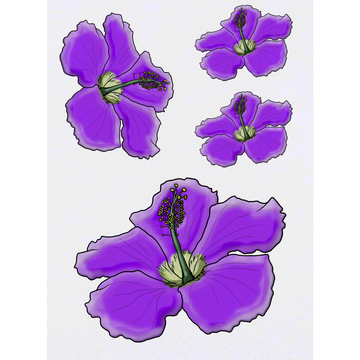 'Purple Hibiscus Flower' Temporary Tattoos -  Water Resistant, Skin-Safe, Non-Toxic Transfers (TO029401)