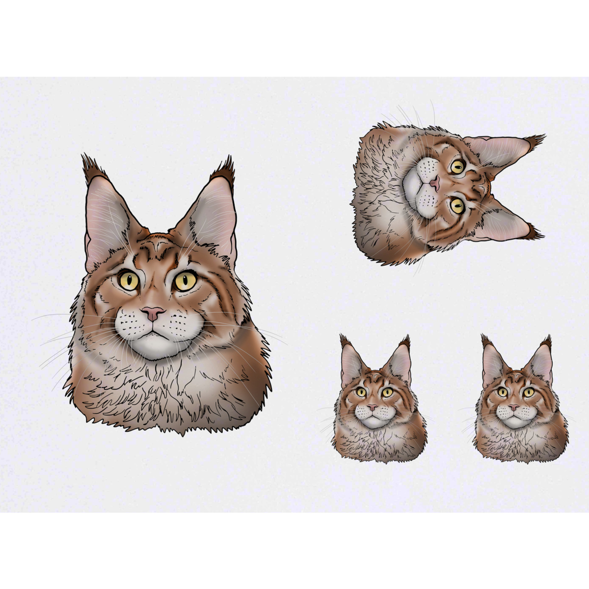 'Maine Coon Cat Head' Temporary Tattoos -  Water Resistant, Skin-Safe, Non-Toxic Transfers (TO029485)