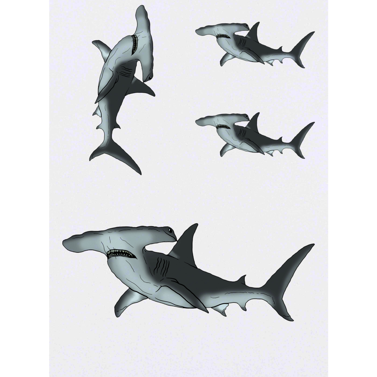 'Hammerhead Shark' Temporary Tattoos -  Water Resistant, Skin-Safe, Non-Toxic Transfers (TO029878)