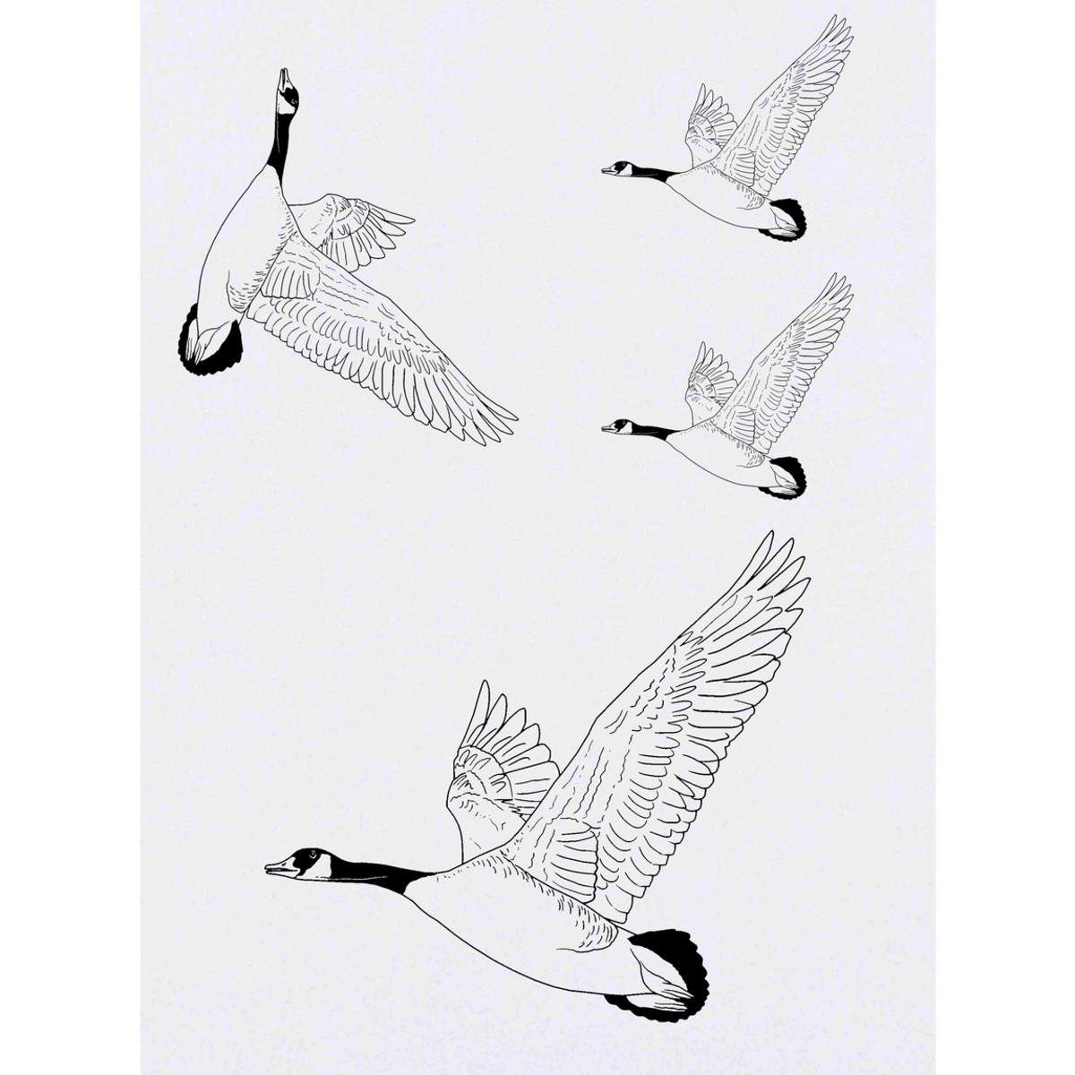 'Flying Goose' Temporary Tattoos -  Water Resistant, Skin-Safe, Non-Toxic Transfers (TO029915)