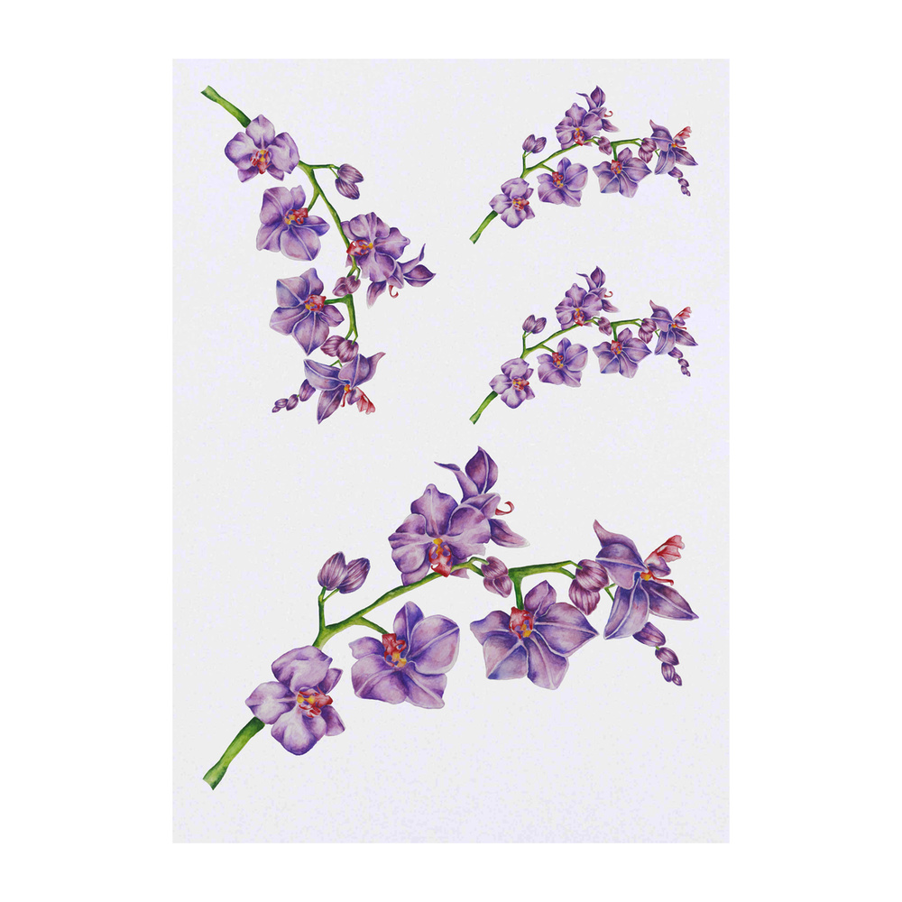 'Purple Orchid Branch' Temporary Tattoos - Water Resistant, Skin-Safe, Non-Toxic Transfers (TO030381)