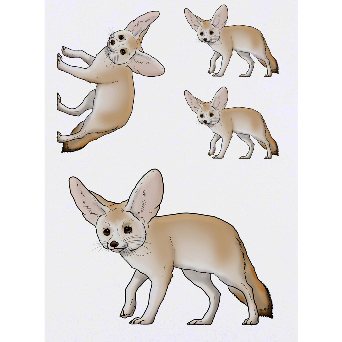 'Fennec Fox' Temporary Tattoos -  Water Resistant, Skin-Safe, Non-Toxic Transfers (TO030605)