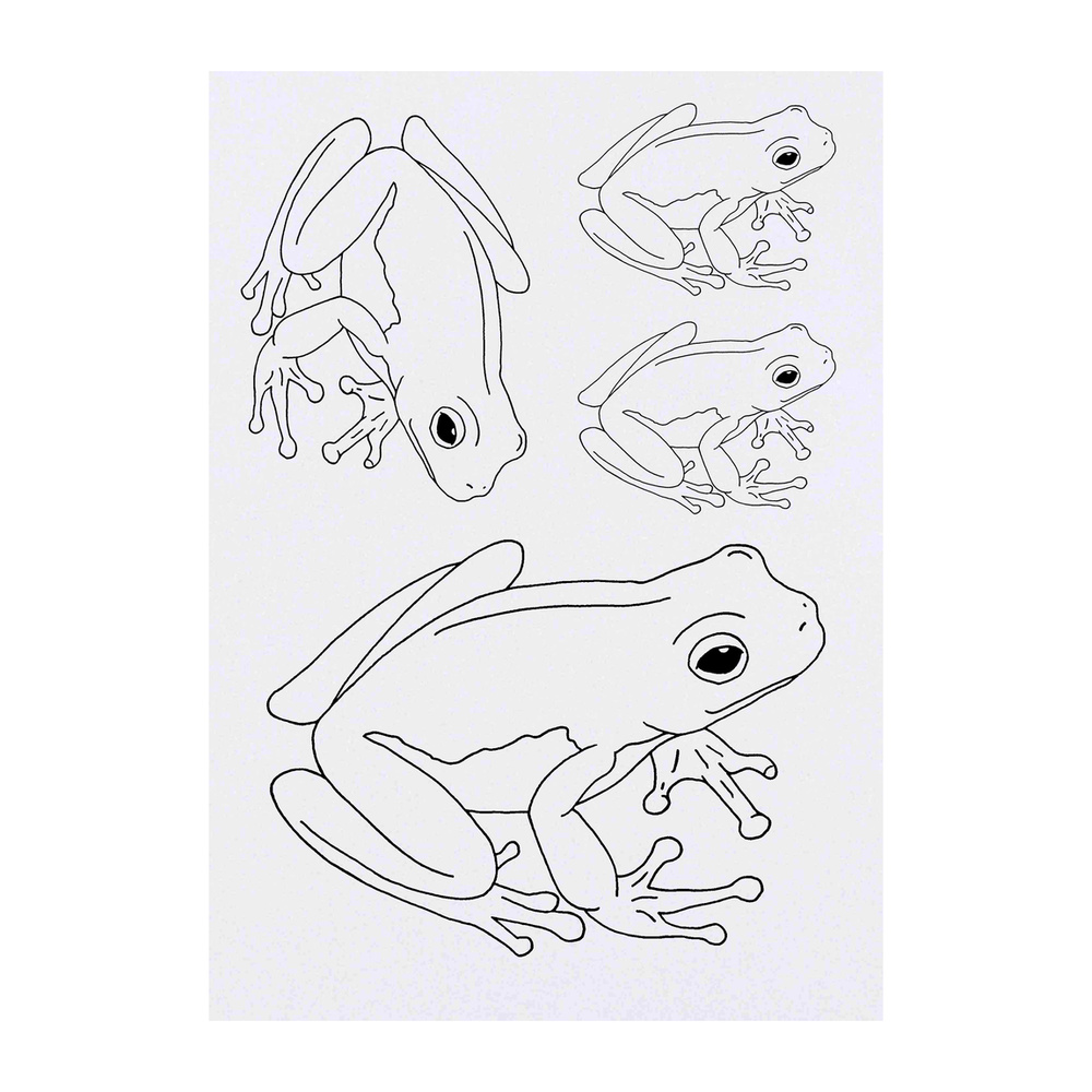 'Frog' temporary to030857 tattoos Limited time Ranking TOP3 for free shipping