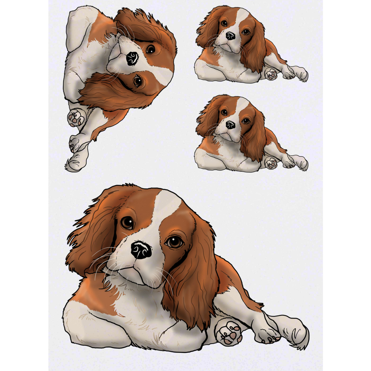 'Cavalier King Charles' Temporary Tattoos -  Water Resistant, Skin-Safe, Non-Toxic Transfers (TO031065)