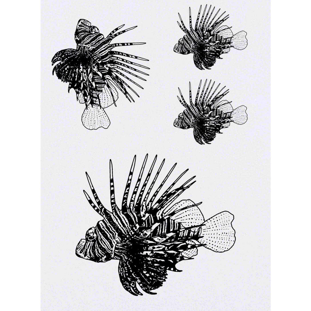 'Lionfish' Temporary Tattoos -  Water Resistant, Skin-Safe, Non-Toxic Transfers (TO032101)