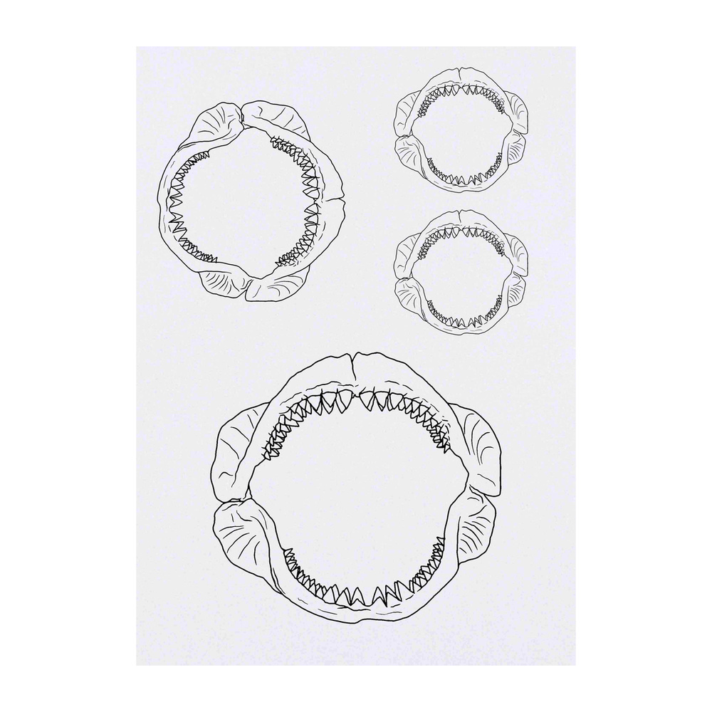 'Shark Jaws' Temporary Tattoos - Water Resistant, Skin-Safe, Non-Toxic Transfers (TO032295)