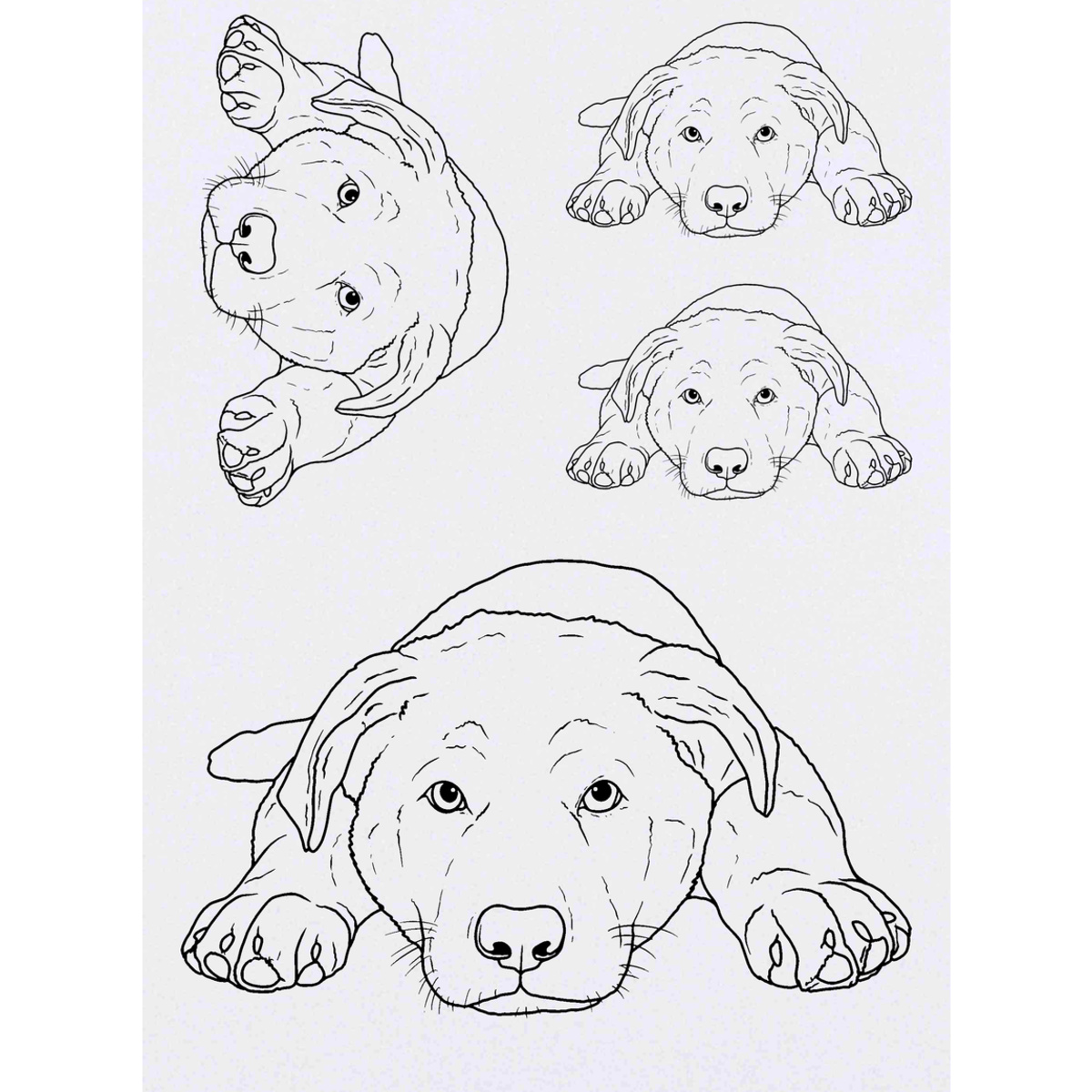 'German Shepherd Puppy' Temporary Tattoos -  Water Resistant, Skin-Safe, Non-Toxic Transfers (TO034544)