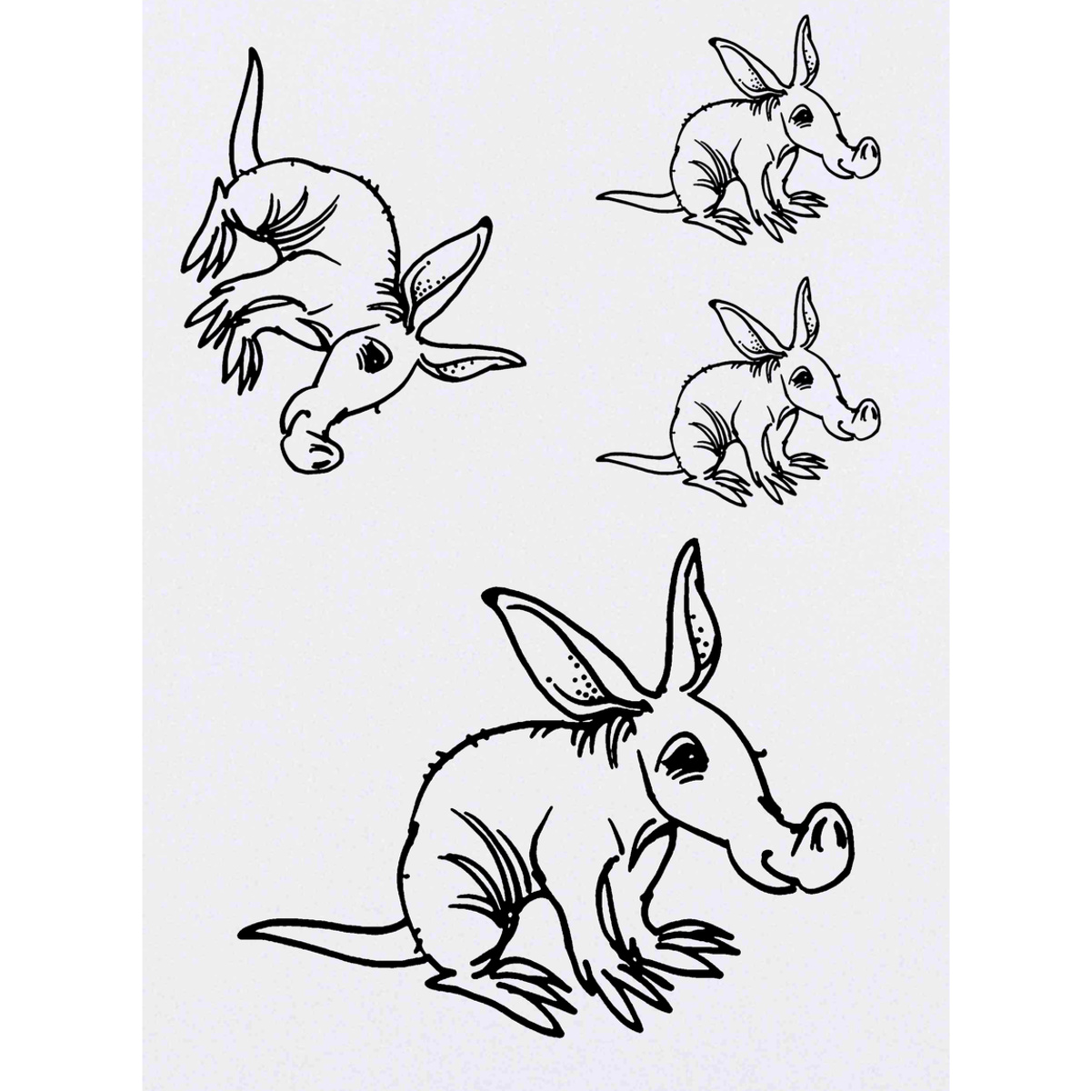 'Aardvark' Temporary Tattoos -  Water Resistant, Skin-Safe, Non-Toxic Transfers (TO034633)
