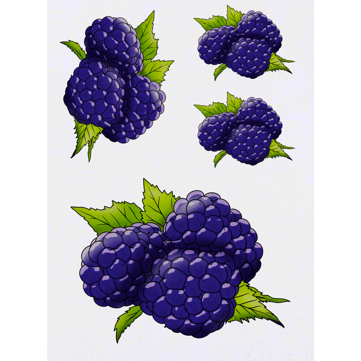 'Blackberries' Temporary Tattoos -  Water Resistant, Skin-Safe, Non-Toxic Transfers (TO034701)