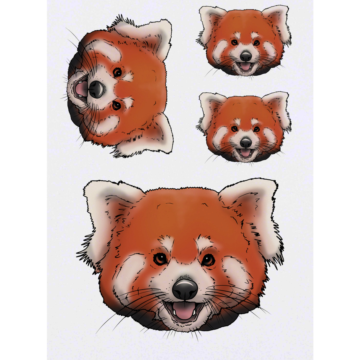 'Red Panda' Temporary Tattoo Transfers - Water Resistant Skin Safe Designs for Parties, Costumes and Gifts (TO035130)