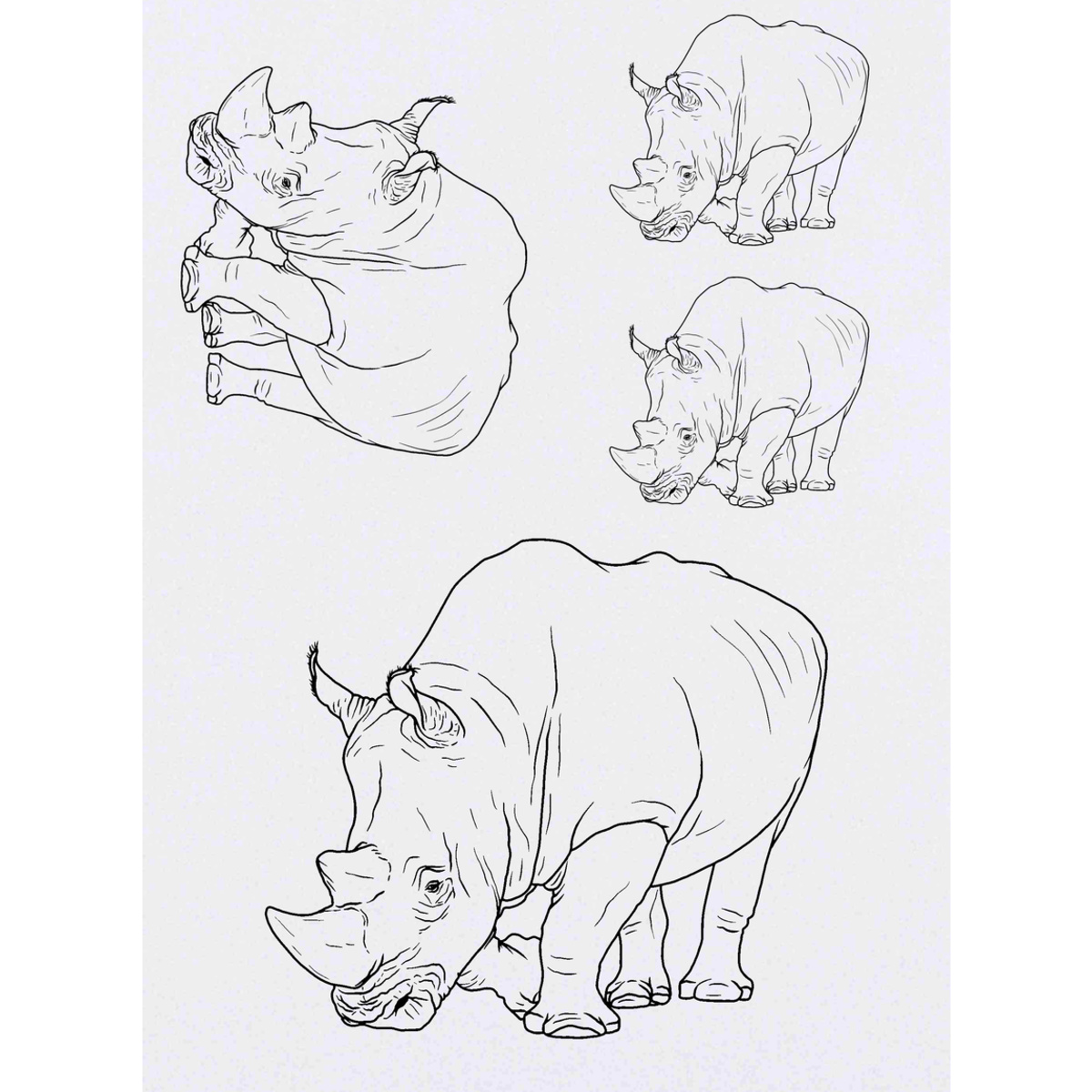 'Rhino' Temporary Tattoo Transfers - Water Resistant Skin Safe Designs for Parties, Costumes and Gifts (TO035559)