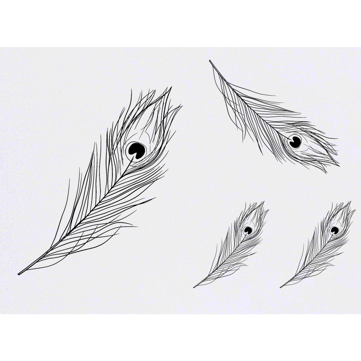 4 x 'Peacock Feather' Temporary Tattoos -  Water Resistant, Skin-Safe, Non-Toxic Transfers, Mixed Sizes (TO00051259)